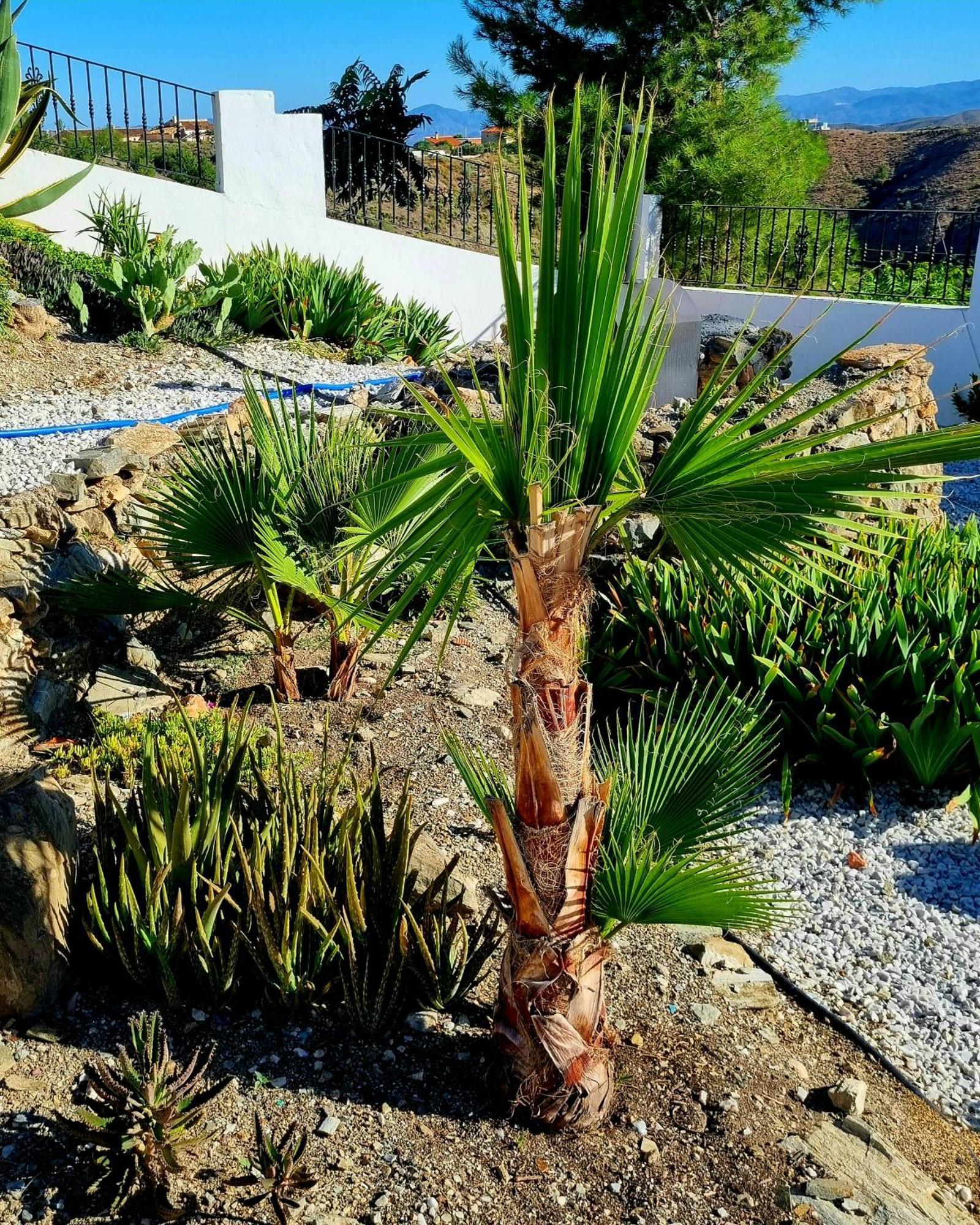 Cortijo Naturista Con Vistas-Clothing Optional Oria 外观 照片